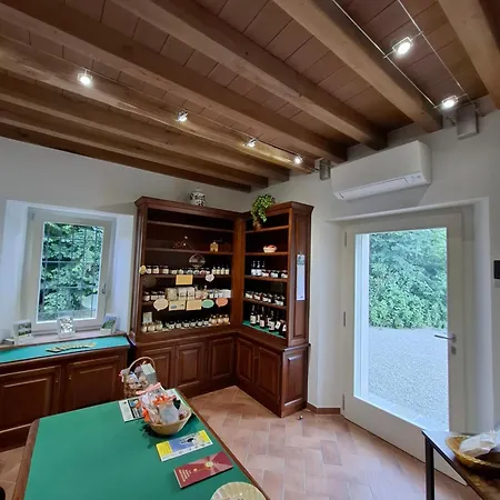 Bed & Breakfast Il Castellaro Ai Sassi *